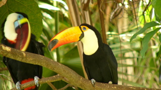 P1010273.jpg