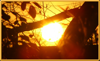 Sun.jpg