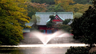 park.jpg